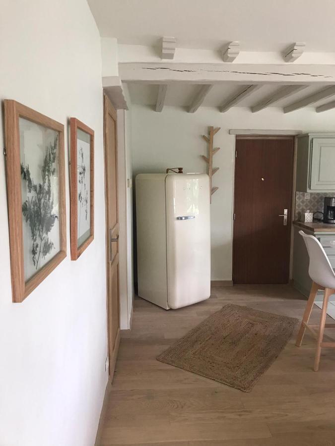 Ambiance Seine - Appartement 46M2 Terrasse - Hortensia Thomery Bagian luar foto